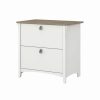 New Bush Business Furniture Bush Furniture Salinas 2 Drawer File Cabinet In White/Shiplap Gray