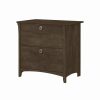 Best Bush Business Furniture Bush Furniture Salinas 2 Drawer File Cabinet In Ash Brown