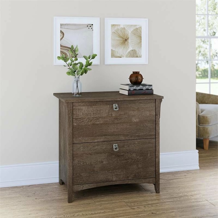 Best Bush Business Furniture Bush Furniture Salinas 2 Drawer File Cabinet In Ash Brown