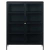 Hot Unique Furniture 55 Metal And Glass Cabinet In Black